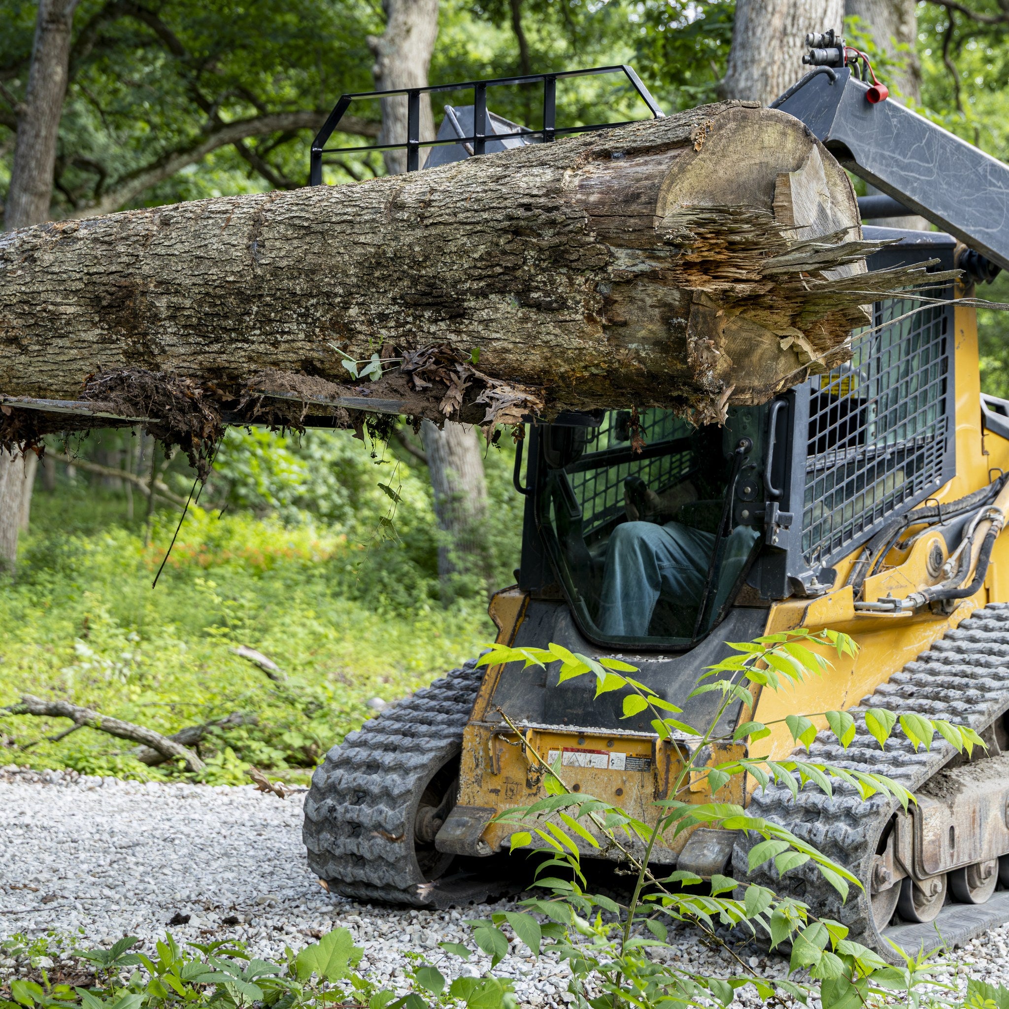Pallet forks lifting a large log