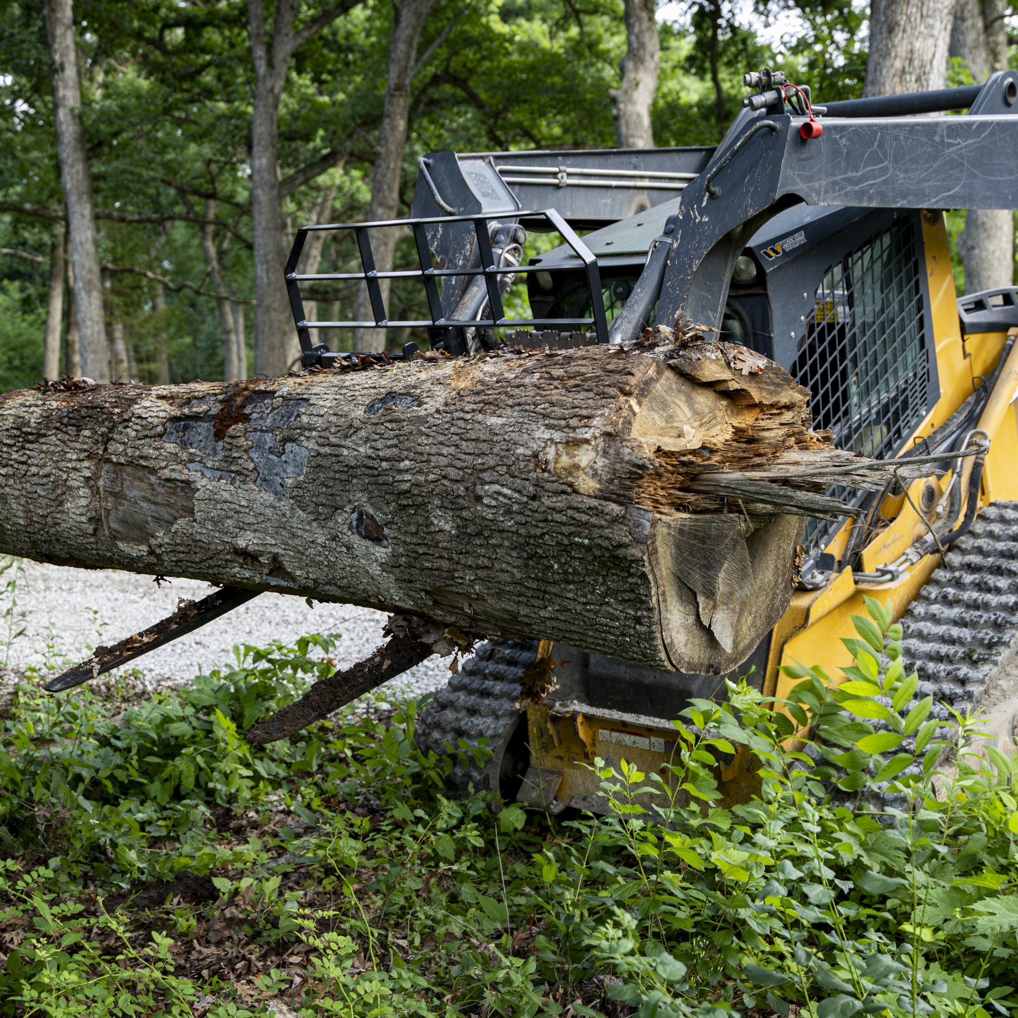 Skid steer carrying a load on pallet forks